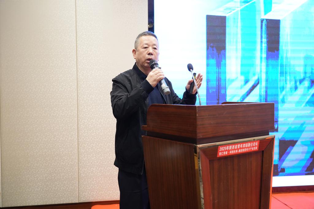 咸阳彩虹集团总工程师孙钢智作专题报告